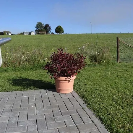 Miss Comfortable * Bad Berleburg