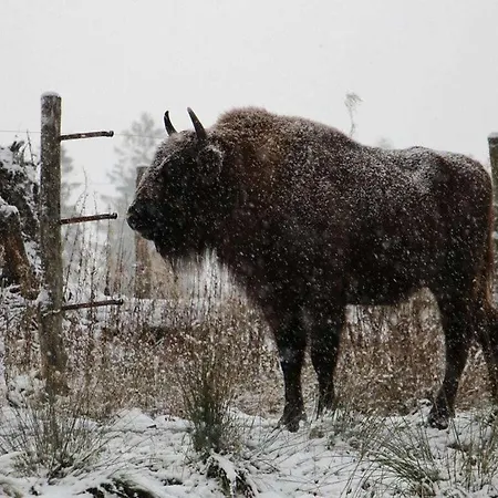 Miss Comfortable Prázdninový dům *