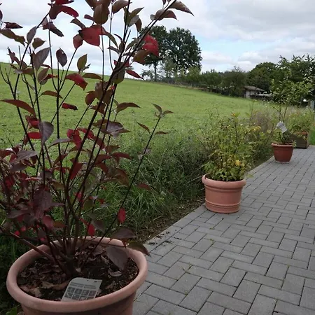 Prázdninový dům Miss Comfortable *